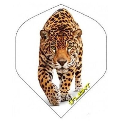 Designa iFlight - Leopard - Flights