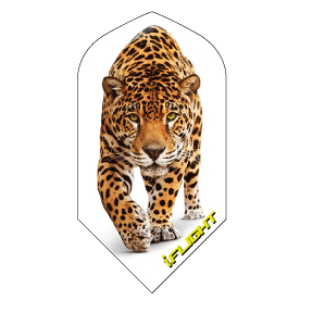 Designa iFlight - Leopard Slim - Flights